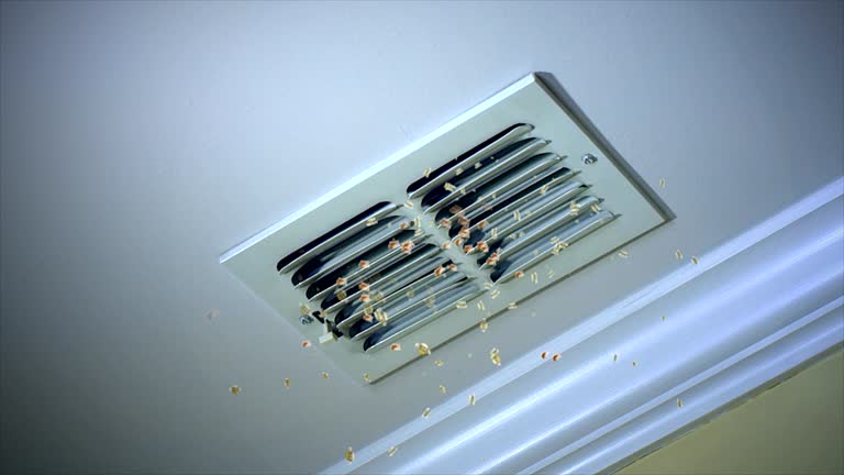 Best Commercial HVAC Duct Cleaning  in Redington Shores, FL