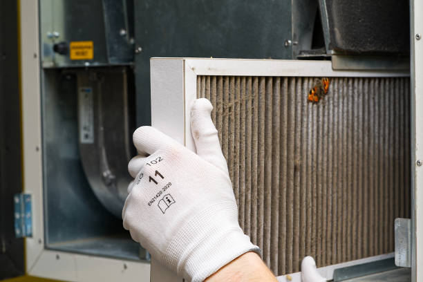 Best Commercial Air Duct Cleaning  in Redington Shores, FL