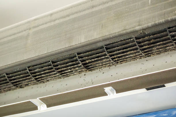 Best Air Vent Cleaning Services  in Redington Shores, FL